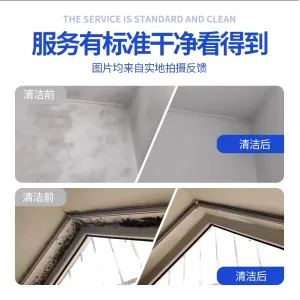 上门除霉房屋除霉天花板除霉墙壁除霉除霉除异味除霉保洁服务