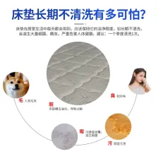 床垫清洗床垫清洁去污去猫尿尿骚味发黄除异味上门清洗家政服务